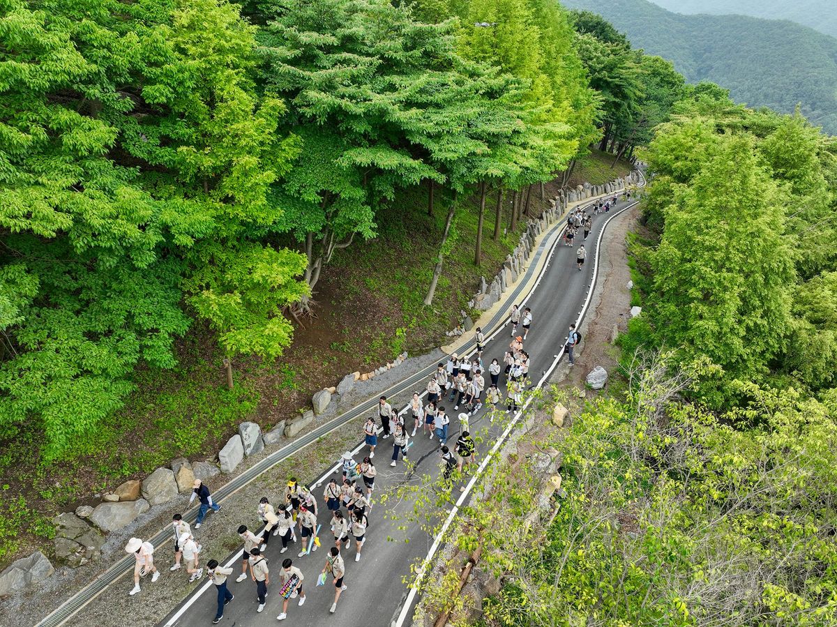 월명동 힐링코스 성령길 1 - 울창한 소나무 숲 아래 아스팔트 산책로