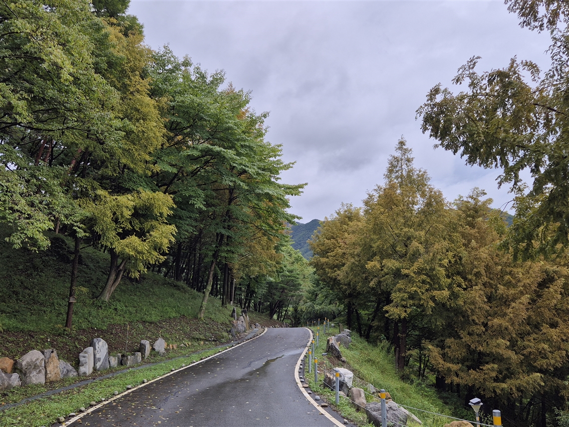 월명동 힐링코스 성령길 2 - 둥근 돌들이 아기자기하게 놓인 S자형 길