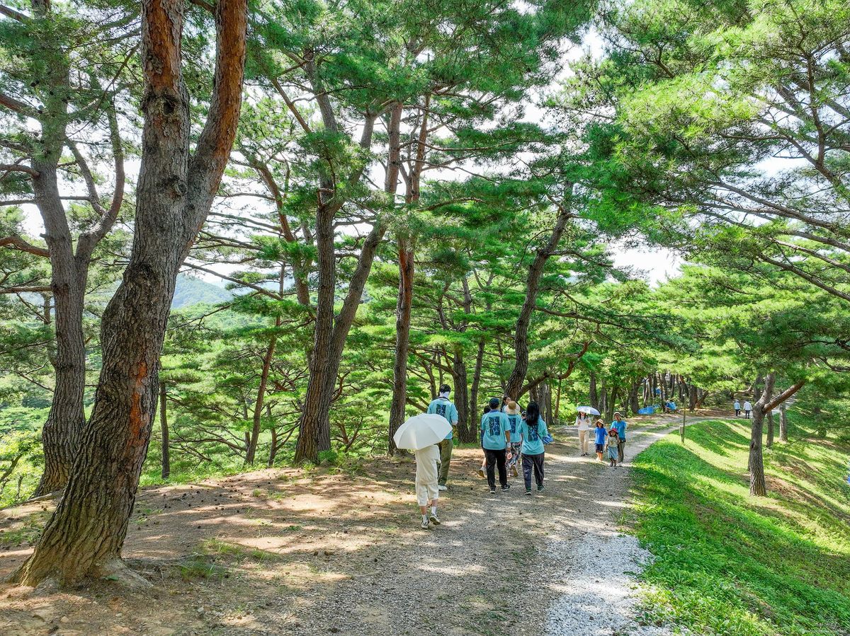 월명동 스릴코스 소나무 숲길 - 별봉정으로 이어지는 수형 고운 소나무 산책로