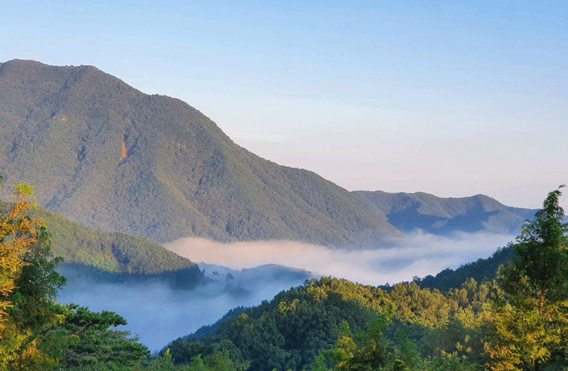 안개가 드리운 월명동 자연성전 별봉 산 정상의 몽환적인 풍경