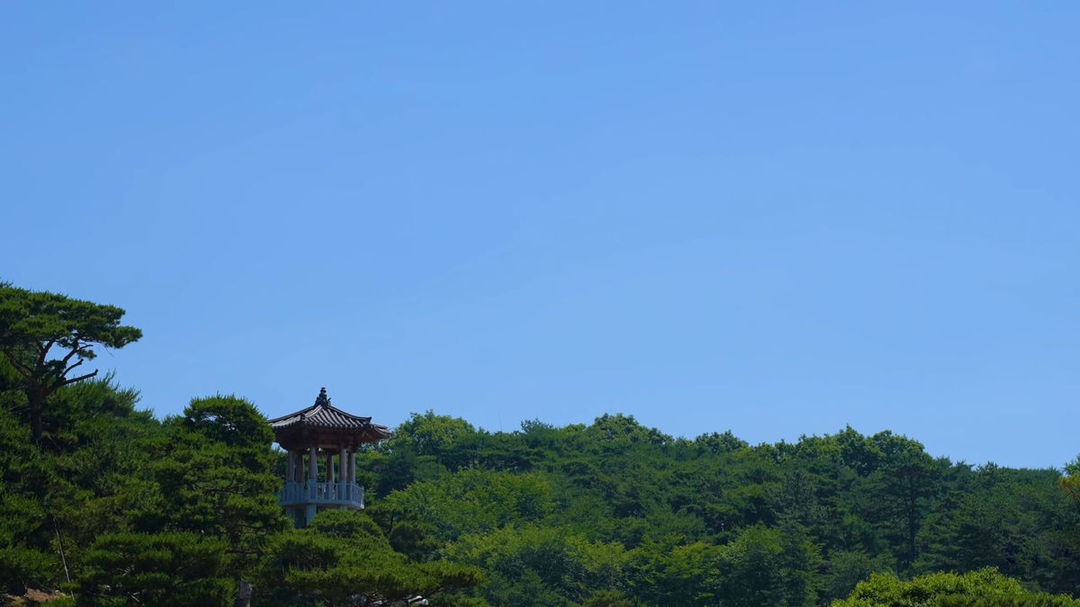 울창한 숲으로 둘러싸인 월명동 자연성전 별봉의 자연 환경