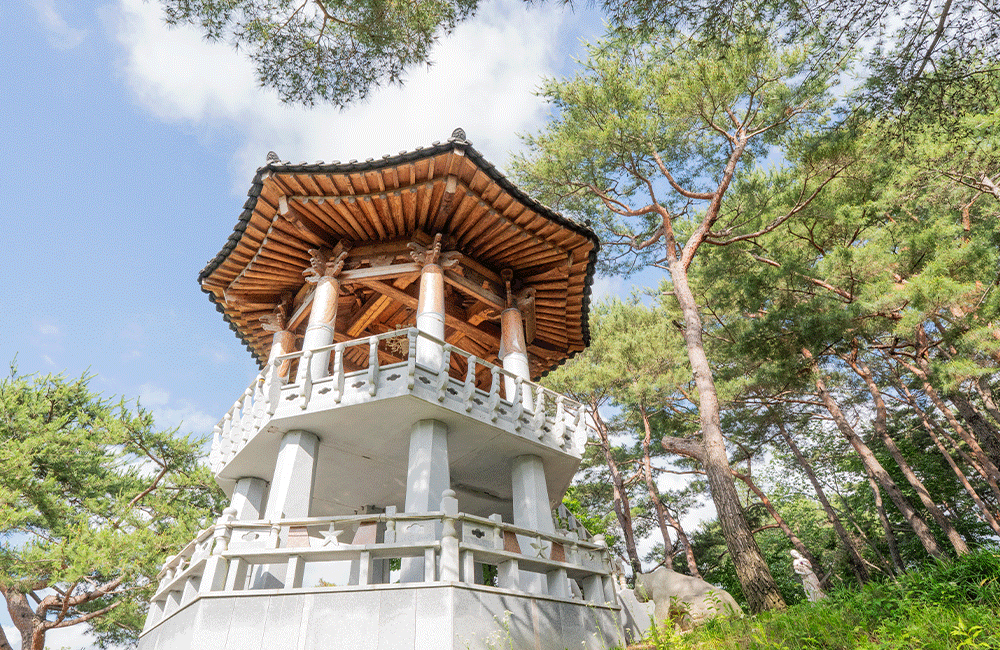 여름철 초록 숲으로 둘러싸인 월명동 자연성전 별봉 전경