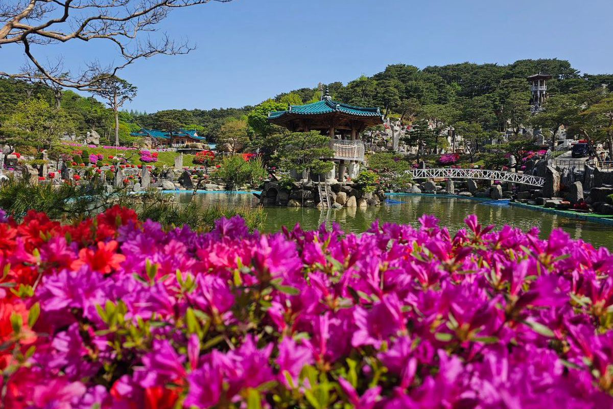 봄꽃이 피어난 계절의 월명동 자연성전 월명호 전경