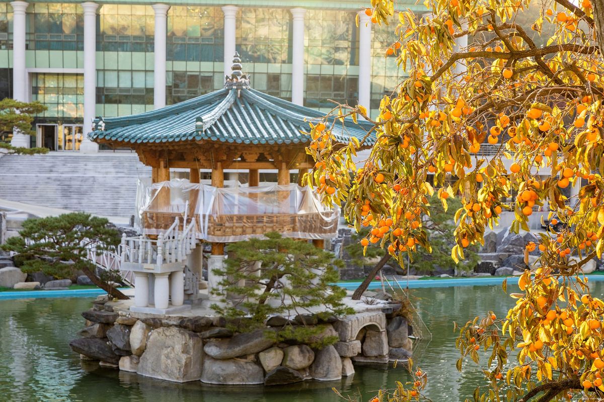 월명동 월명호 전경