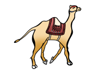 별을 따라 이동하는 낙타 애니메이션 아이콘