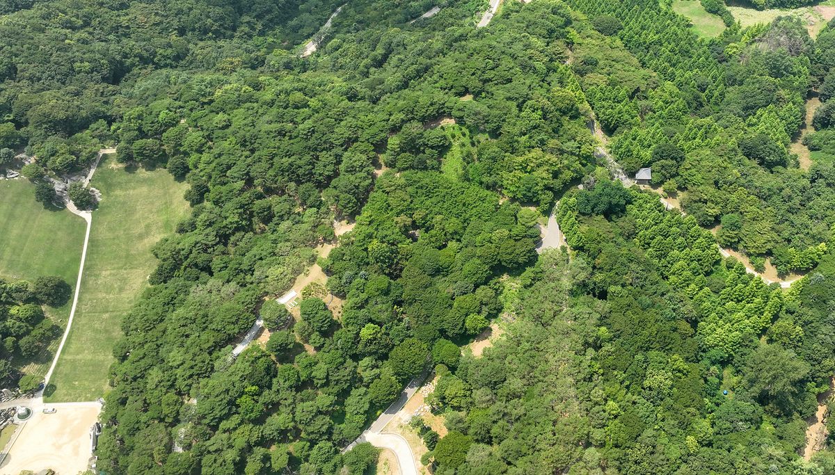 사막의 귀한 동물 낙타 형상을 닮은 월명동 자연성전의 500톤 이상 거대한 낙타 바위