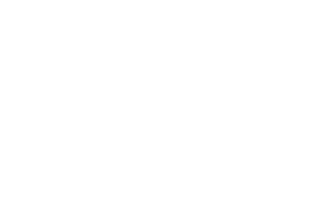 다양한 각도에서 바라본 성자 바위의 신비로운 형상