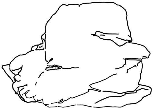 신이 빚은 자연석 성자 바위의 여러 형상을 보여주는 일러스트