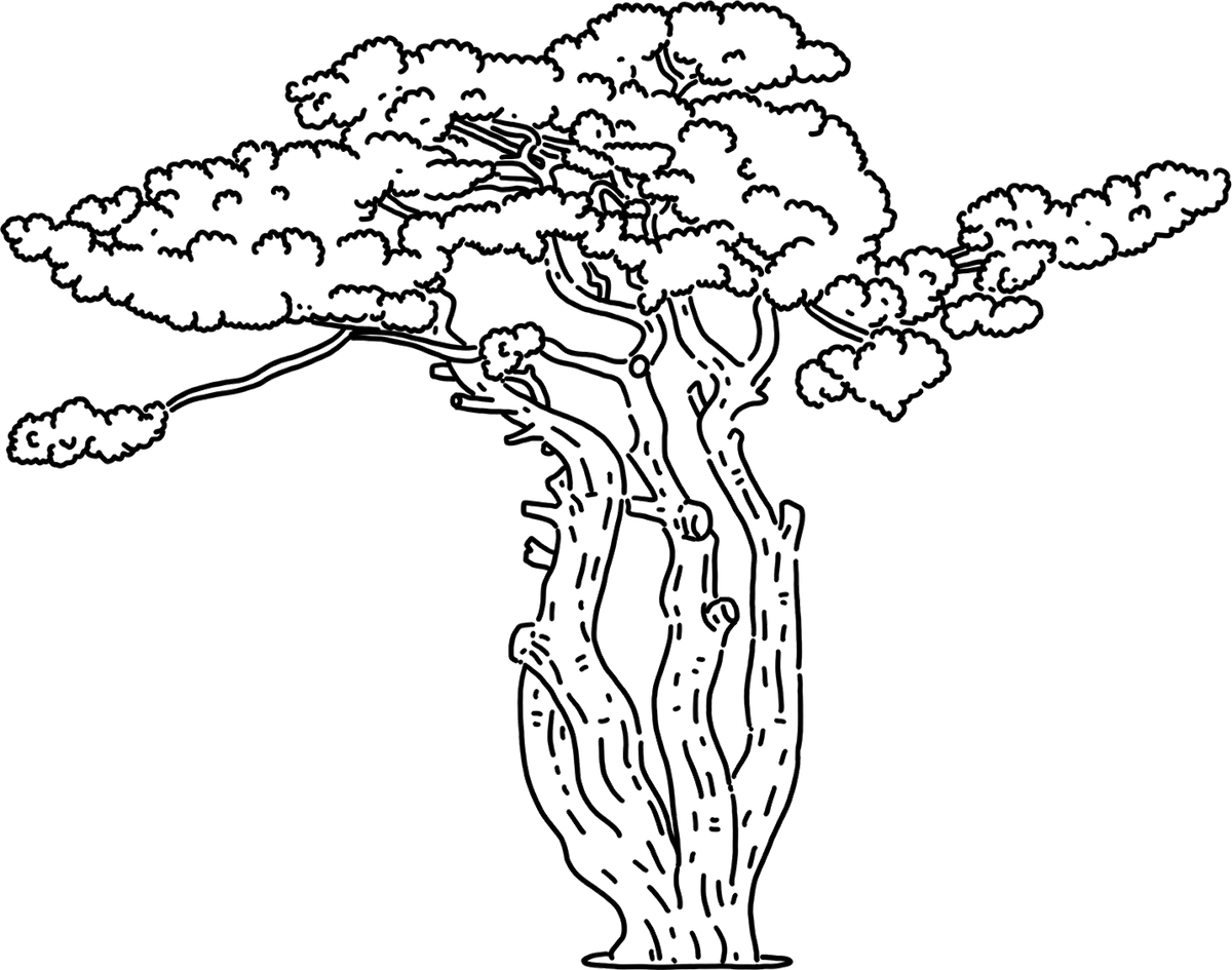 성령의 바람을 타고 월명동에 온 상징솔 이야기 일러스트